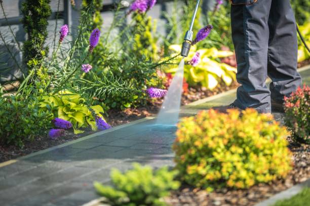 Best Restaurant Pressure Washing  in Morgan, UT